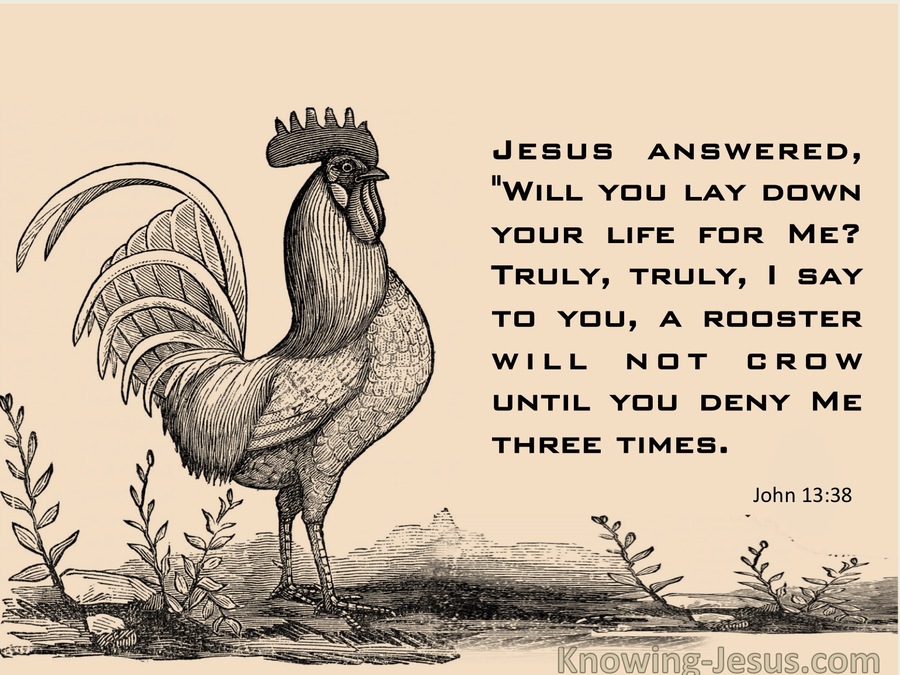 John 13:38 A Rooster Will Not Crow Until You Deny Me Three Times (pink)